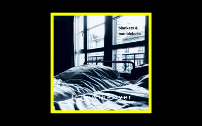 Recensioni Radioaktiv F o l l o w t h e r i v e r – blankets & bumblebees