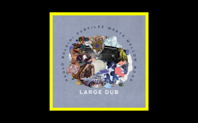 Recensioni Radioaktiv Paolo Baldini DubFiles meets Mellow Mood – Large Dub