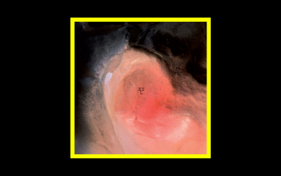 Recensioni Radioaktiv XXL – Puff O’Gigio