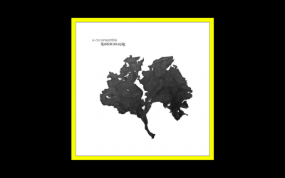 Recensioni Radioaktiv E-cor ensemble – Lipstick on a Pig