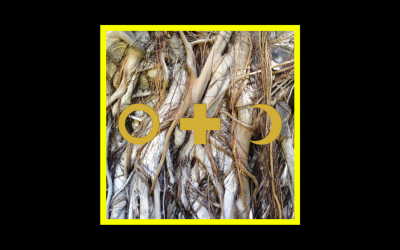 Recensioni Radioaktiv Pilia + Pupillo – Dark Night Mother