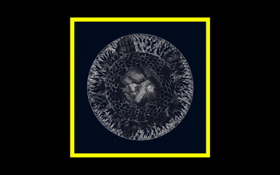 Recensioni Radioaktiv San Leo – Y