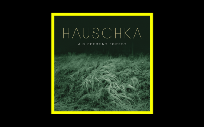 Recensioni Radioaktiv Hauschka – A Different Forest