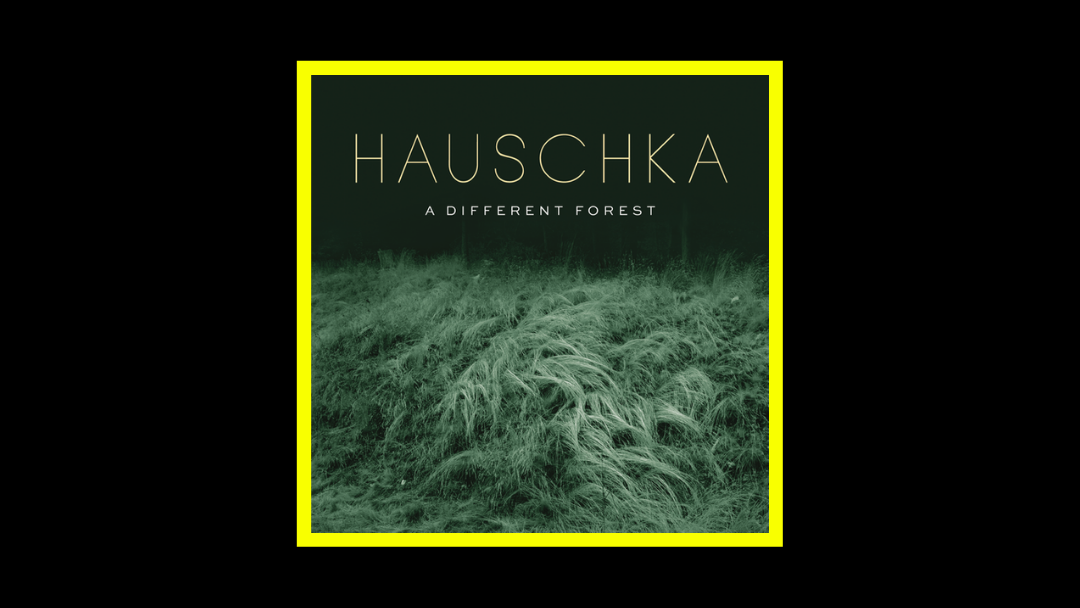 Hauschka – A Different Forest