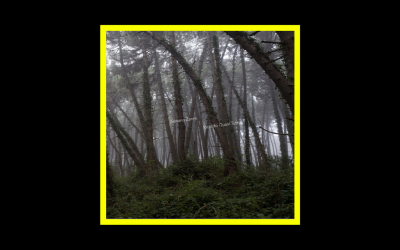 Recensioni Radioaktiv Adriano Zanni – Ricordo quasi tutto