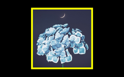 Recensioni Radioaktiv Akira Kosemura – In Moonlight