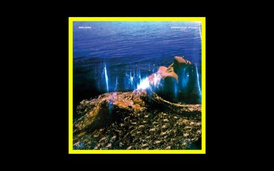 Recensioni Radioaktiv Malihini – Hopefully, Again