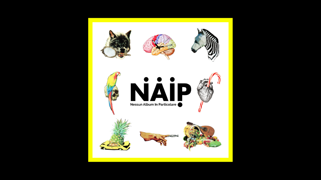 N.A.I.P. - Nessun Album In Particolare Radioaktiv