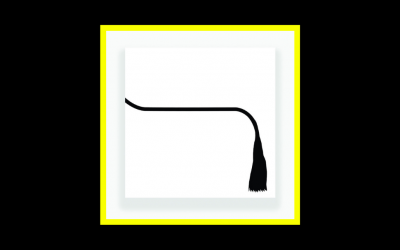 Recensioni Radioaktiv kNN – Alta moda animale