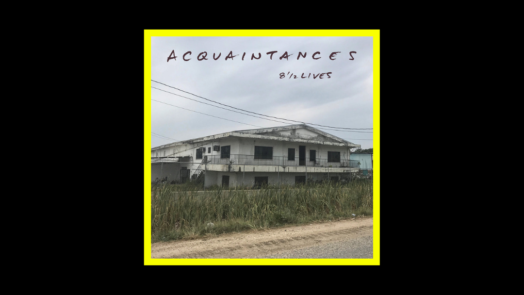 Acquaintances - 8½ Lives Radioaktiv