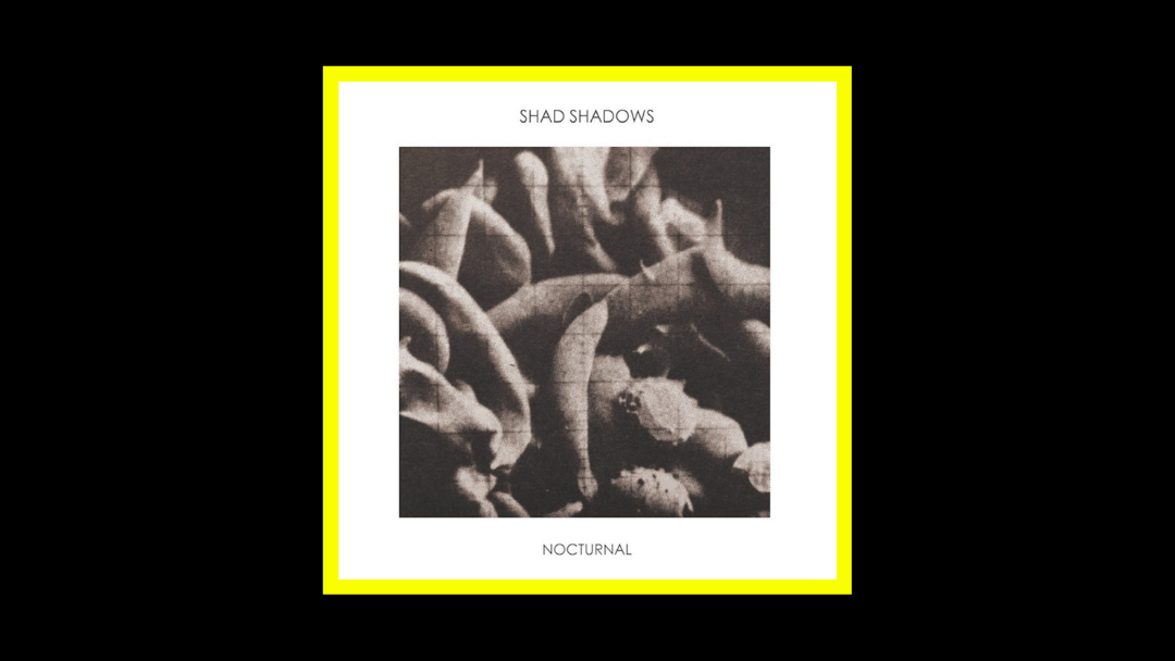 Shad Shadows – Nocturnal