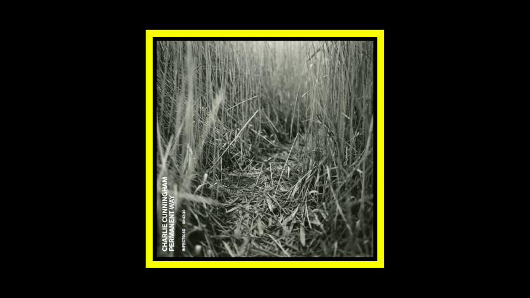 Charlie Cunningham - Permanent Way Radioaktiv
