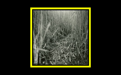 Recensioni Radioaktiv Charlie Cunningham – Permanent Way