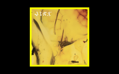 Recensioni Radioaktiv Crumb – Jinx