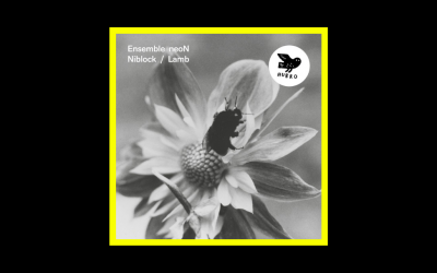 Recensioni Radioaktiv Ensemble neoN – Niblock/Lamb