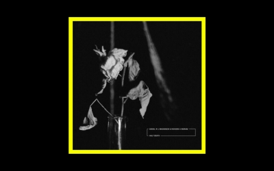 Recensioni Radioaktiv Daniel W J Mackenzie & Richard A Ingram – Half Death