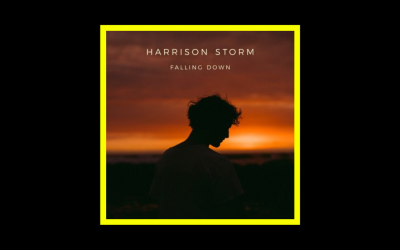 Recensioni Radioaktiv Harrison Storm – Falling Down