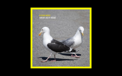 Recensioni Radioaktiv Adrian Løseth Waade – Kitchen Music