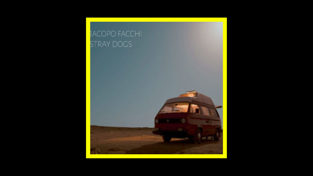 Jacopo Facchi - Stray Dogs Radioaktiv