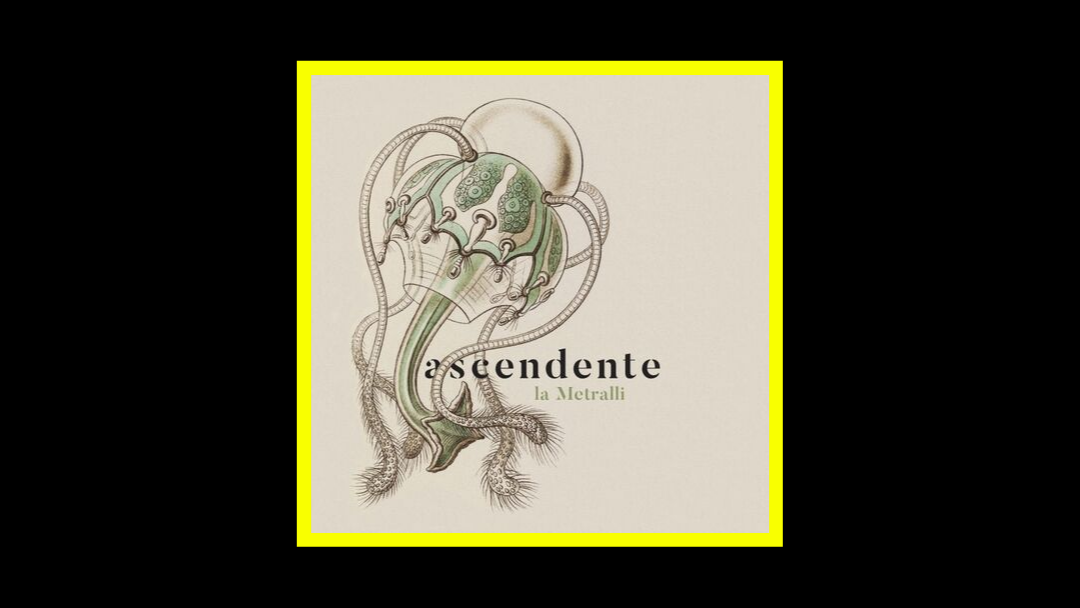 La Metralli – Ascendente