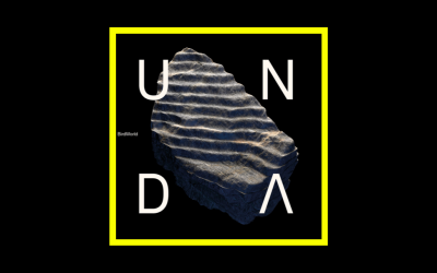 Recensioni Radioaktiv BirdWorld – UNDA