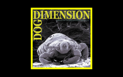 Recensioni Radioaktiv Dog Dimension – Area of Outstandind Beauty