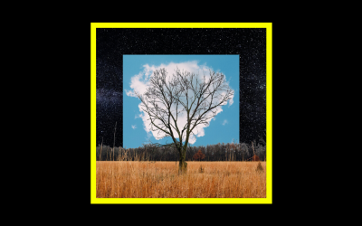 Recensioni Radioaktiv Fink – Bloom Innocence