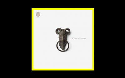 Recensioni Radioaktiv Zu – Terminalia Amazonia