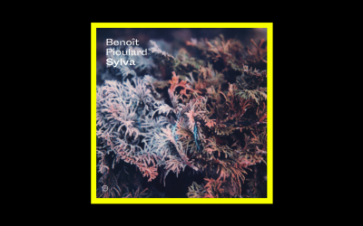 Recensioni Radioaktiv Benoît Pioulard – Sylva