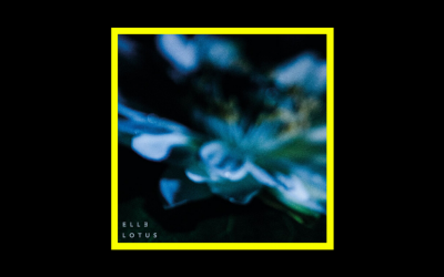 Recensioni Radioaktiv ELL3 – Lotus