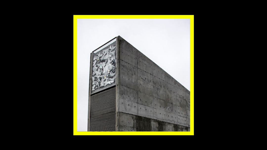 Ecker & Meulyzer – Carbon