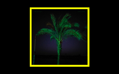 Recensioni Radioaktiv Land of Kush – Sand Enigma