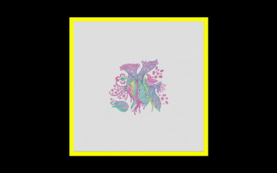 Recensioni Radioaktiv Laura Agnusdei – Laurisilva