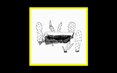 Recensioni Radioaktiv Magda Drozd – Songs for Plants