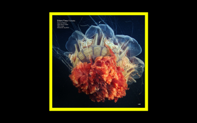 Recensioni Radioaktiv Silent Fires – Forests