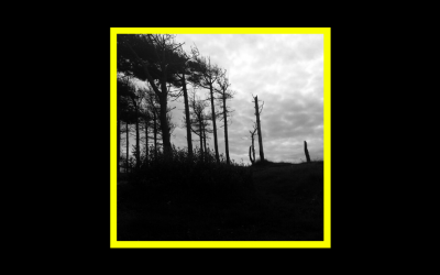 Recensioni Radioaktiv Dakota Suite & Quentin Sirjacq – The Indestructibility Of The Already Felled