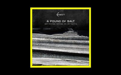 Recensioni Radioaktiv Jeff Kimmel, Ishmael Ali, Bill Harris – A Pound Of Salt