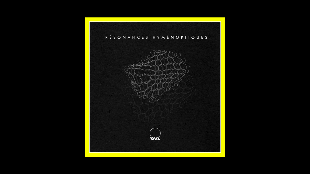 AkA and Cat - Résonances Hyménoptiques Radioaktiv