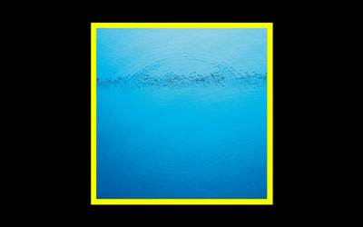 Recensioni Radioaktiv Caribou – Suddenly