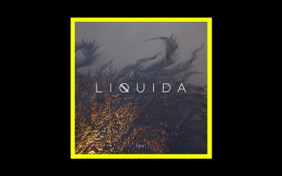 Recensioni Radioaktiv Levi – Liquida