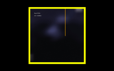 Recensioni Radioaktiv Sigurd Hole – Lys / Mørke