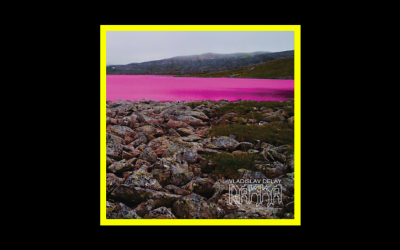 Recensioni Radioaktiv Vladislav Delay – Rakka