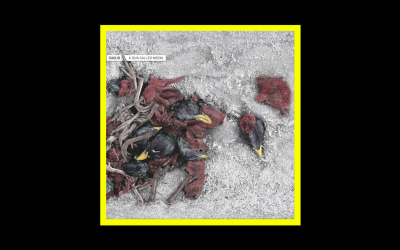 Recensioni Radioaktiv Dadub – A Sun Called Moon