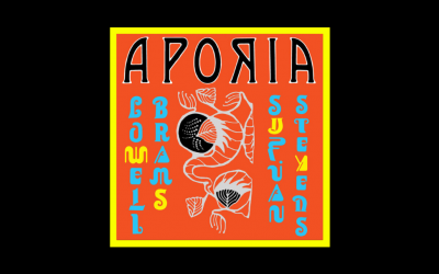 Recensioni Radioaktiv Sufjan Stevens & Lowell Brams – Aporia