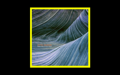 Recensioni Radioaktiv Matteo Milani & Enrico Ascoli – Intra Muros