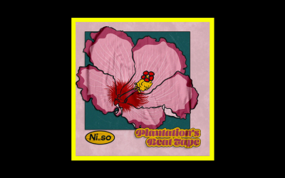 Recensioni Radioaktiv Niso – Plantation’s Beat Tape