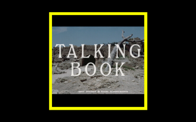Recensioni Radioaktiv Talking Book -Talking Book II