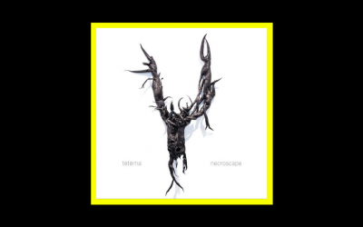 Recensioni Radioaktiv Tētēma – Necroscape