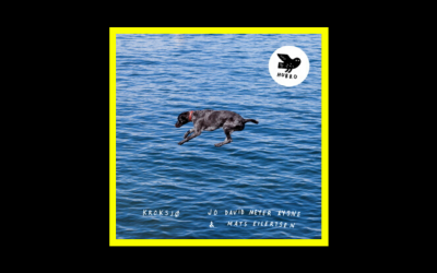 Recensioni Radioaktiv Jo David Meyer Lysne & Mats Eilertsen – Kroksjø