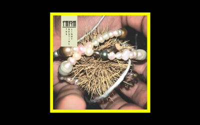 Recensioni Radioaktiv Radar Men From The Moon – The Bestial Light